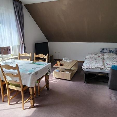 Apartamento Haus Rehblick 2, Wg 4 Sankt Andreasberg Exterior foto